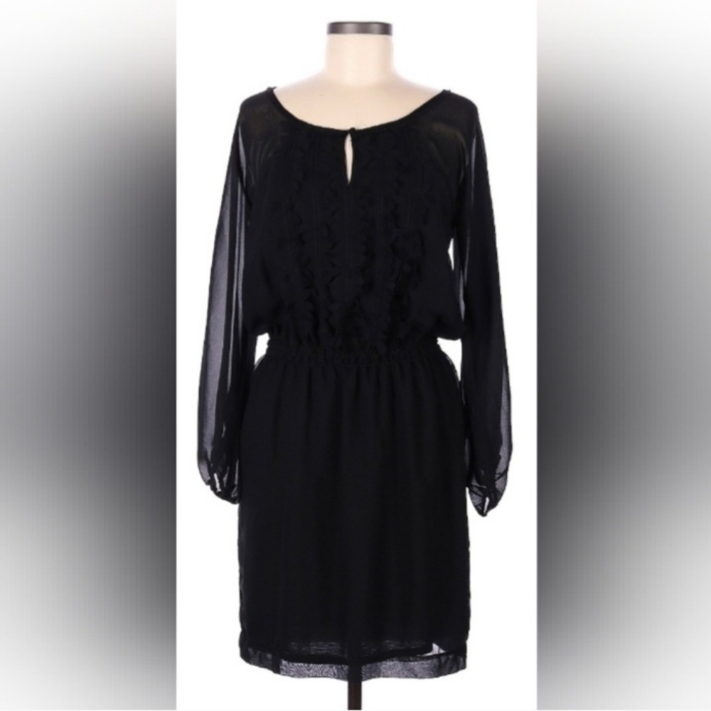 Max Studio Specialty Products M.S.S.P. Sheer Black Long Sleeve Dress size Medium